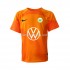 Camisola VfL Wolfsburg Guarda-redes Homem Equipamento Terceiro 2022-2023 Manga Curta